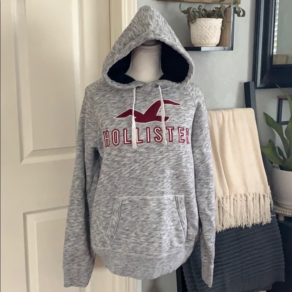 Hollister hooded sweater